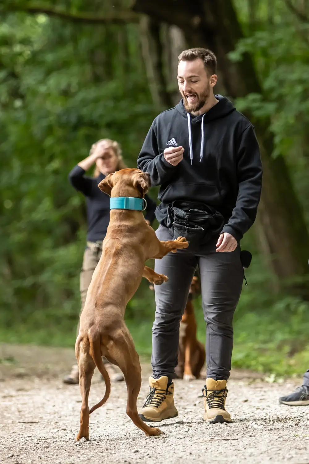 Neubig & Pothmann Hundetraining GmbH